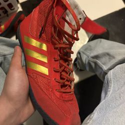 Wrestling Shoes 