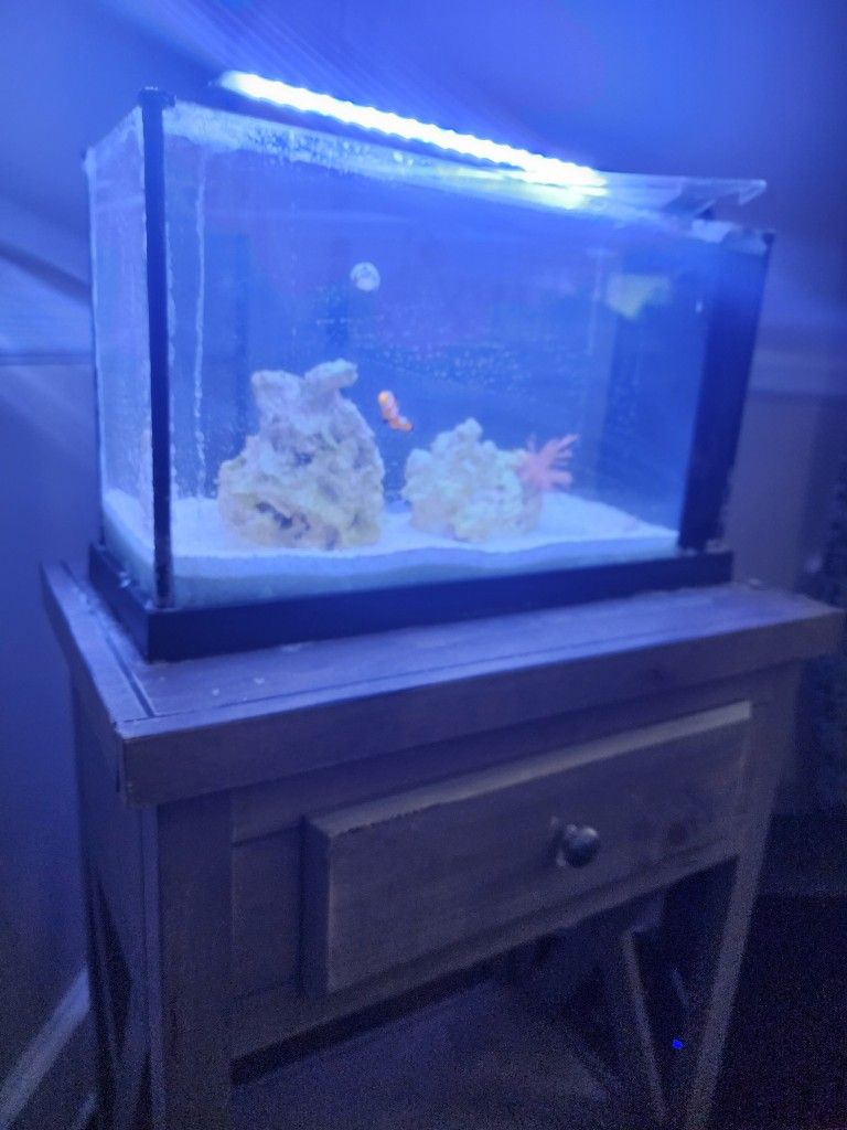 Salt Water Fish Tank & Stand 