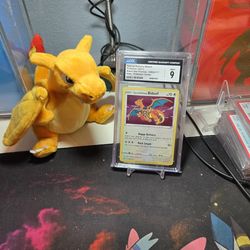 Special Delivery Bidoof