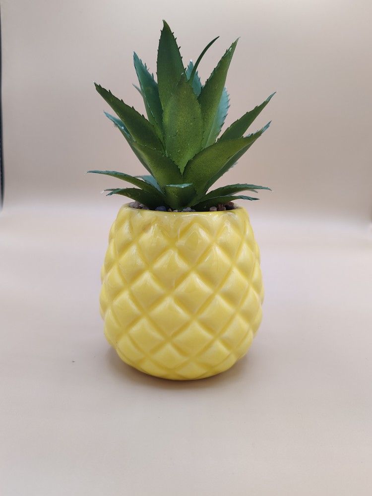 Succulent Pineapple 