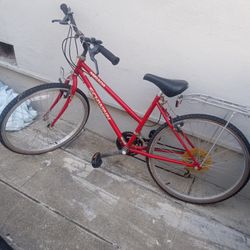 80 Dollar Bike