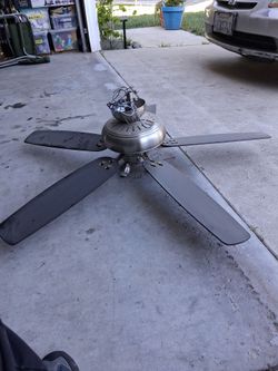 Fan