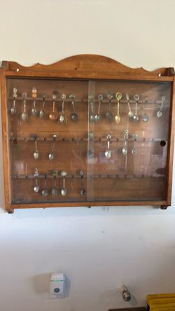 Spoons and case