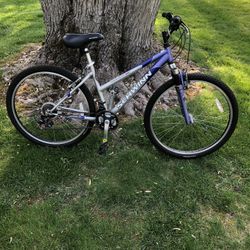 26” Schwinn Mountain Bike 