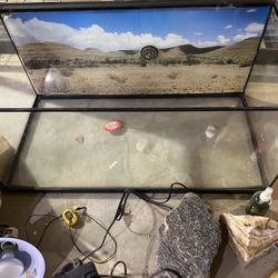 Lizard Cage with Items