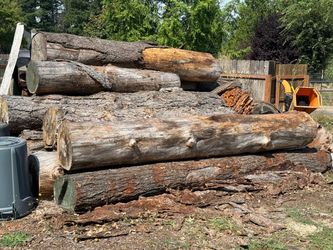 Free logs