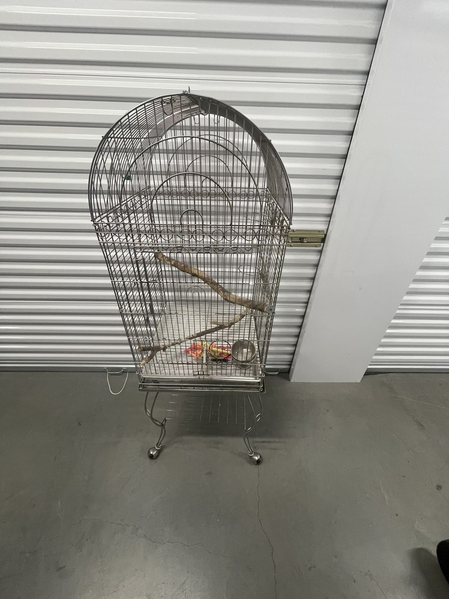 Bird Cages