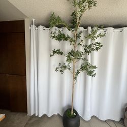 Faux 8’ Quince Tree in Planter – Lifelike Indoor Decor