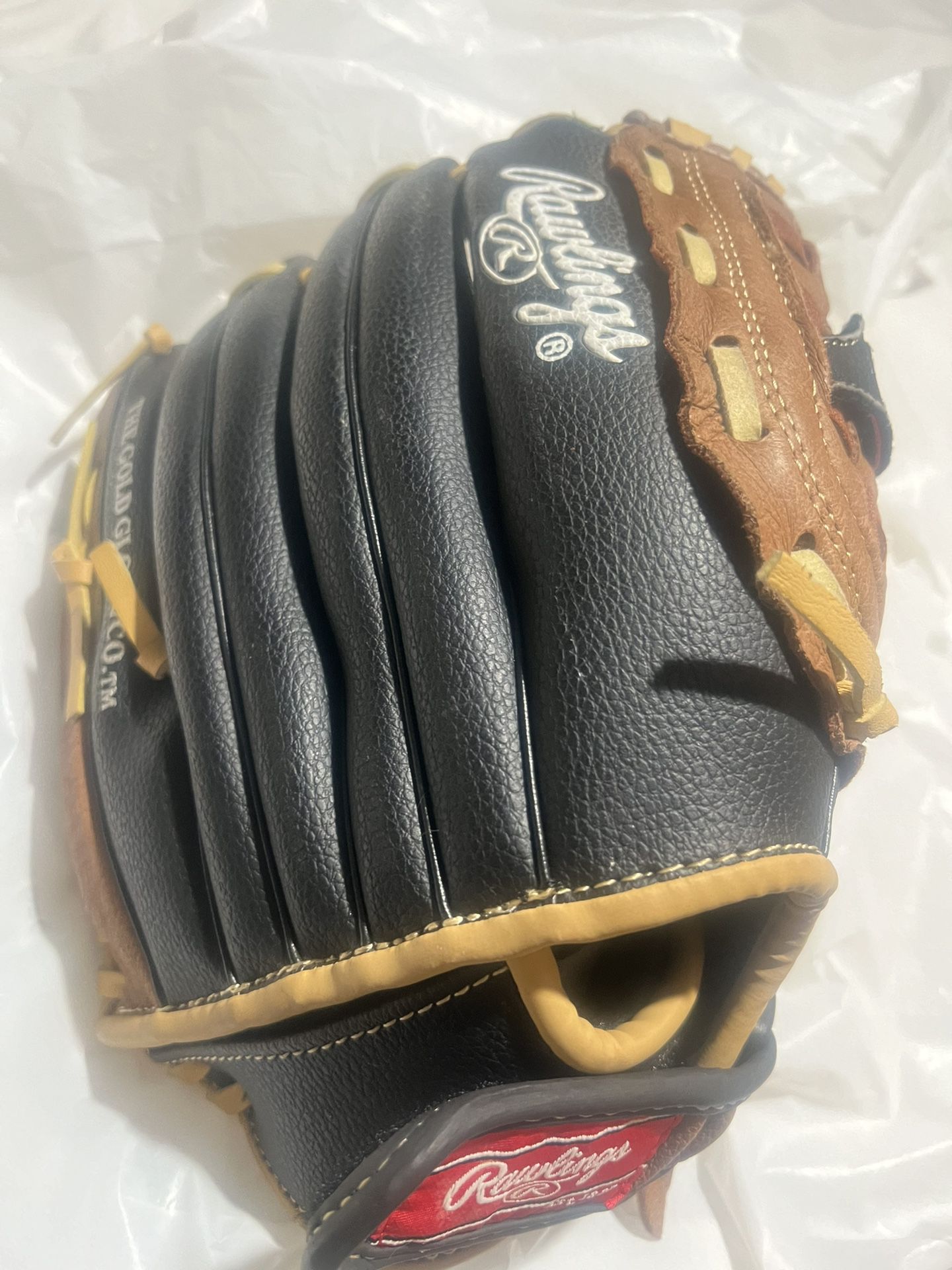 Baseball Glove (Youth) Rawlings
