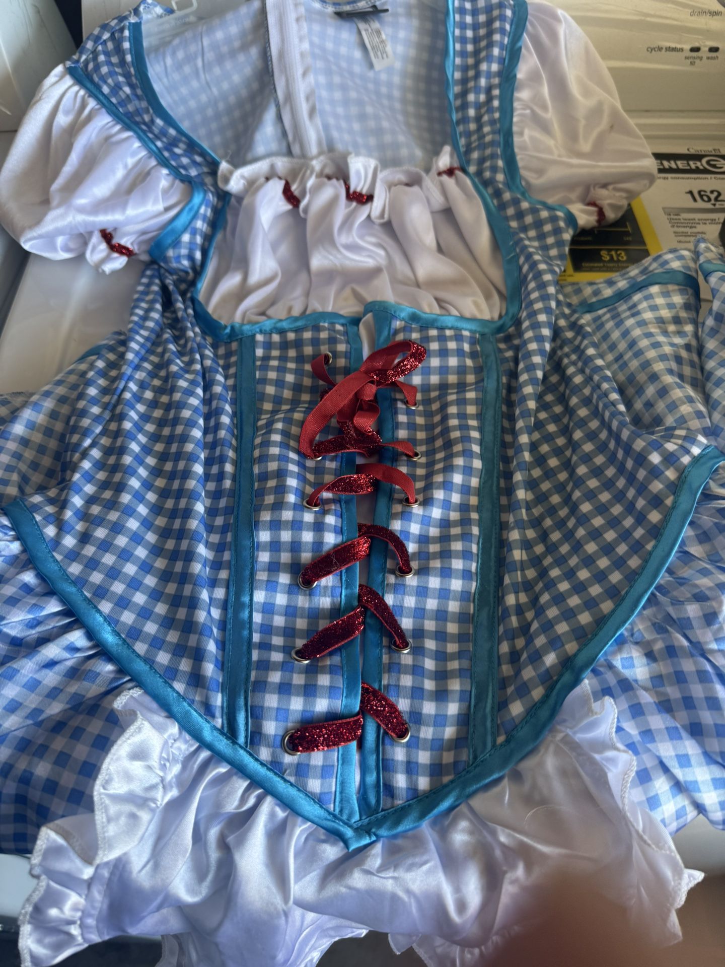 Dorthy Costume 15$