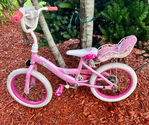 Bike size 16”
