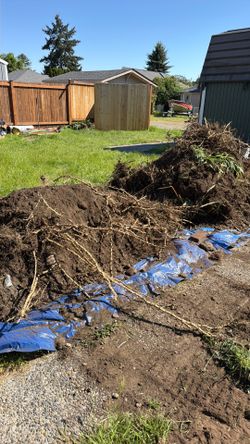 Free dirt