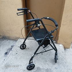 adult Walker 