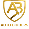 Auto Bidders LLC