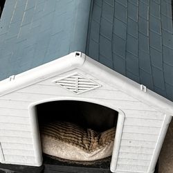 Dog House