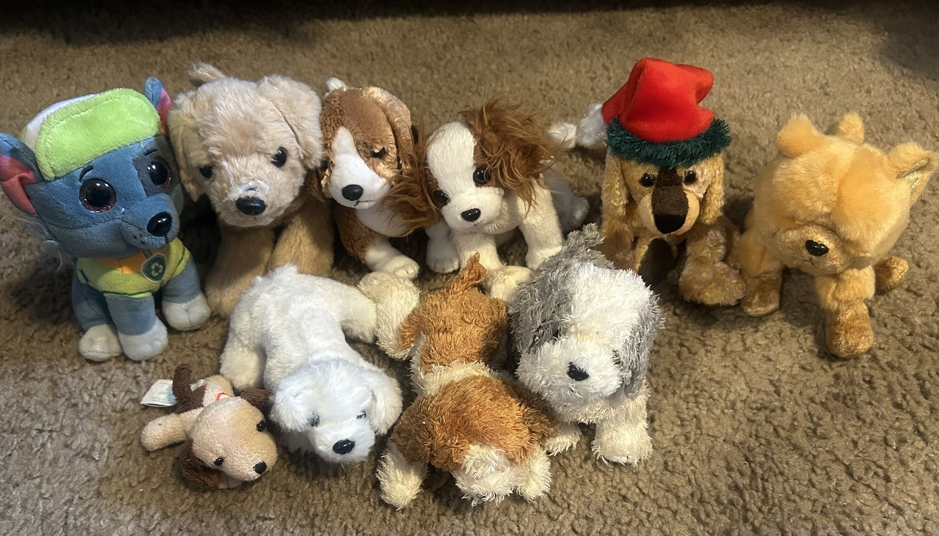 dog plushy
