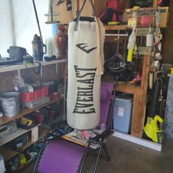 Punching Bag 