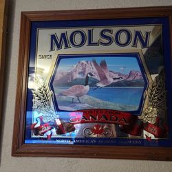 Molson Beer Mirror 19x20  $35 Pickup In Oakdale 