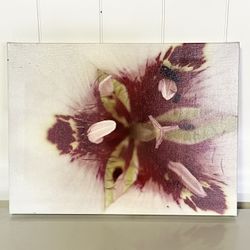 Floral Orchid Canvas Wall Art