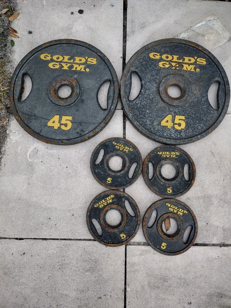 Gold's Gym 2" Plates