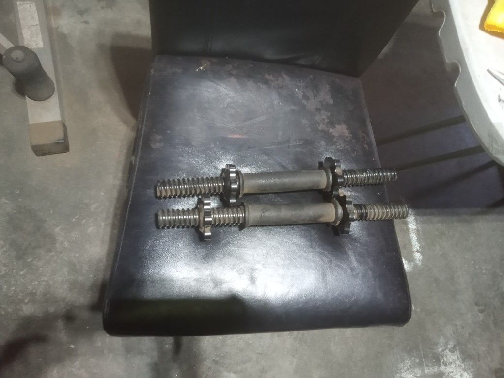 2 small Curl bars