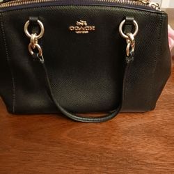 Coach Bag 25