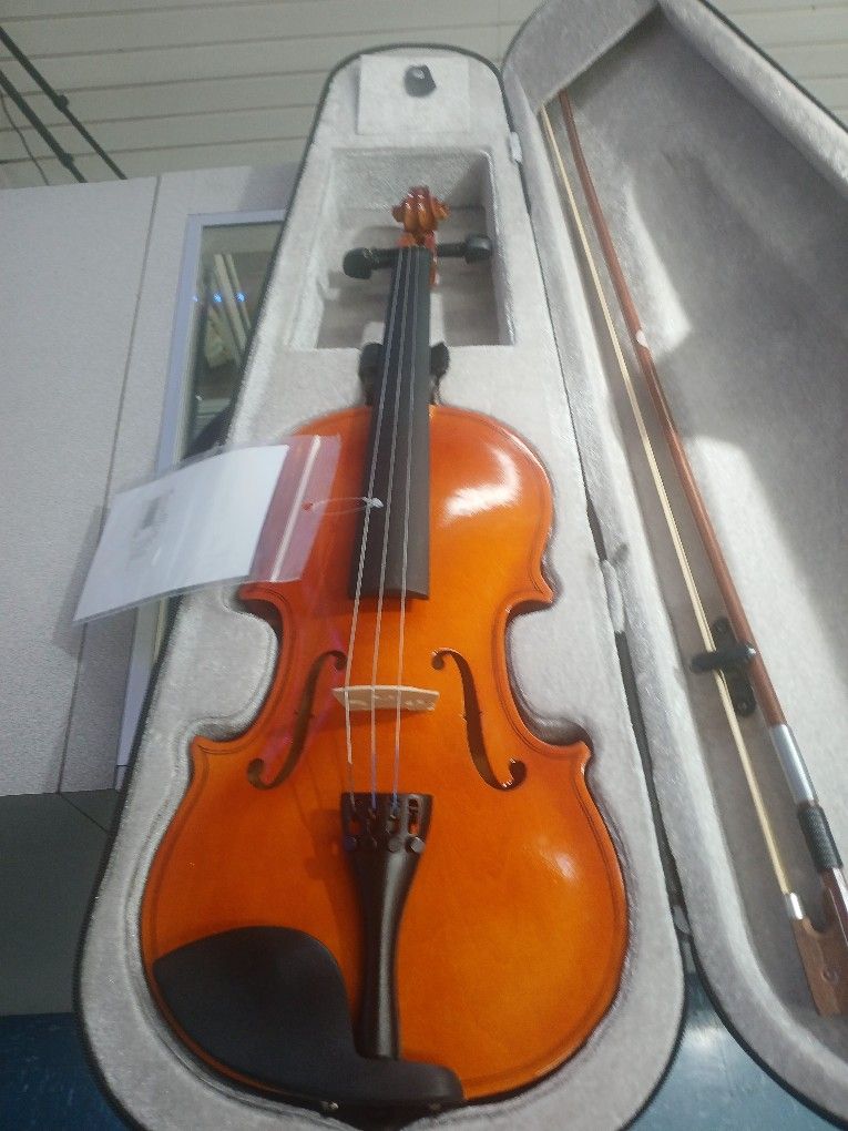 Violin