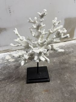 Coral Stand