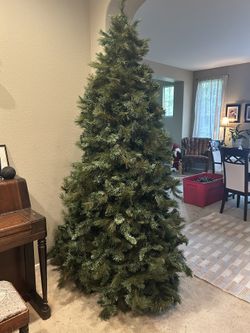 Christmas Tree - 7’