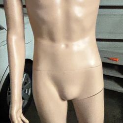 Male Manikin 