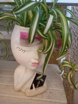 Real House Plants Ceramic Planters