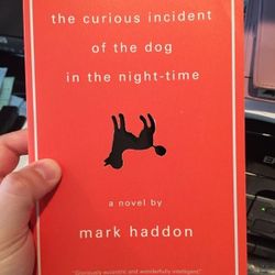 The Curious Incident Of The Dog In The Night-Time