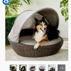 Sunbrella outdoor dog bed brand new