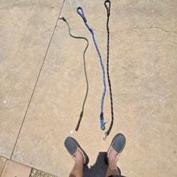 Dog Leash 