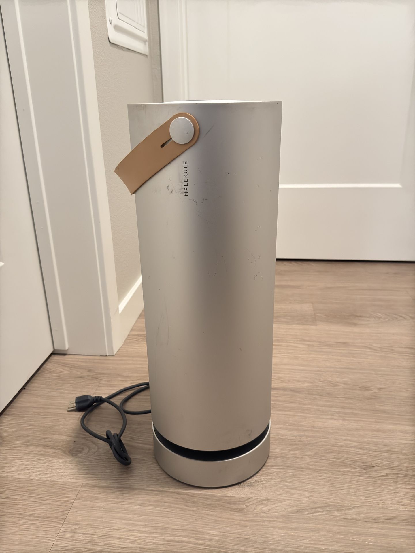 👉 Molekule Air 💨