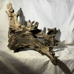 Organic driftwood