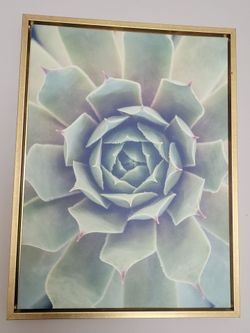 🌿 Set of 2 Framed Kate & Laurel Floral Canvas Wall Art — 24" × 18" Each 🌿
