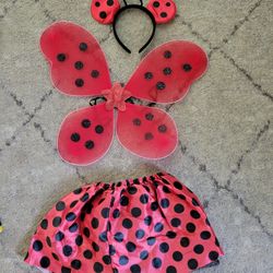 Ladybug Halloween Costume 