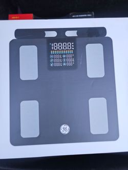 New electrode body scale