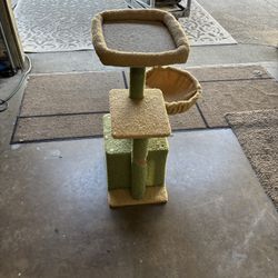  pet gym 