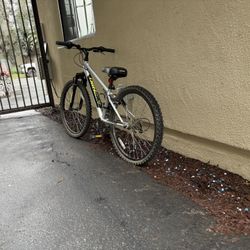 Mountain Bike