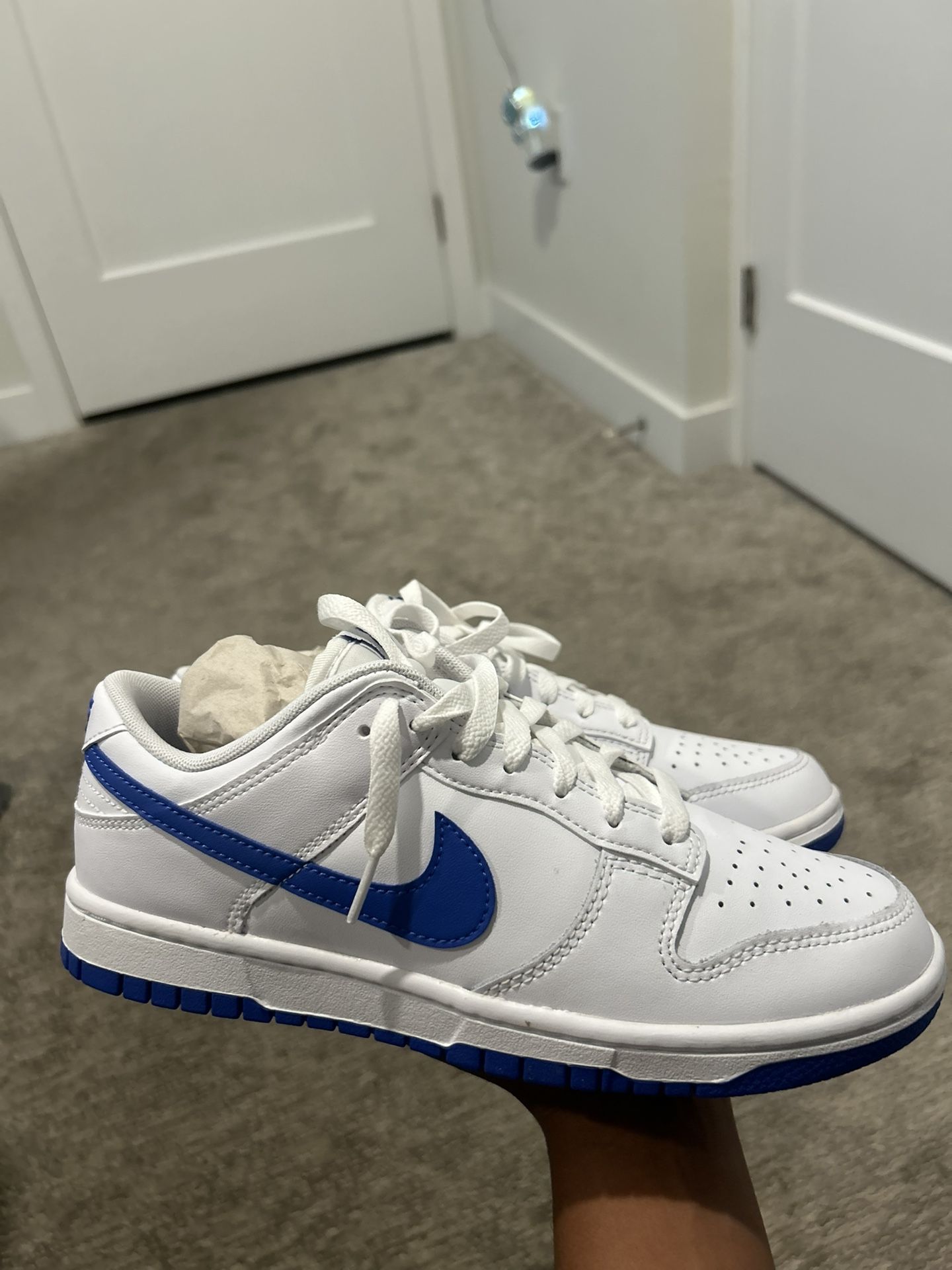 Size 8 Nike Dunk Low Retro Men’s White And Blue