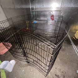 Dog Or Cat  Mesh Gate