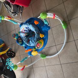 Baby Einstein Baby Jumper 