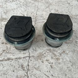 Exhaust Tips With Flaps