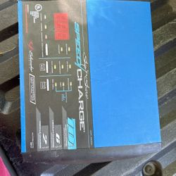 Electric Battery Charger