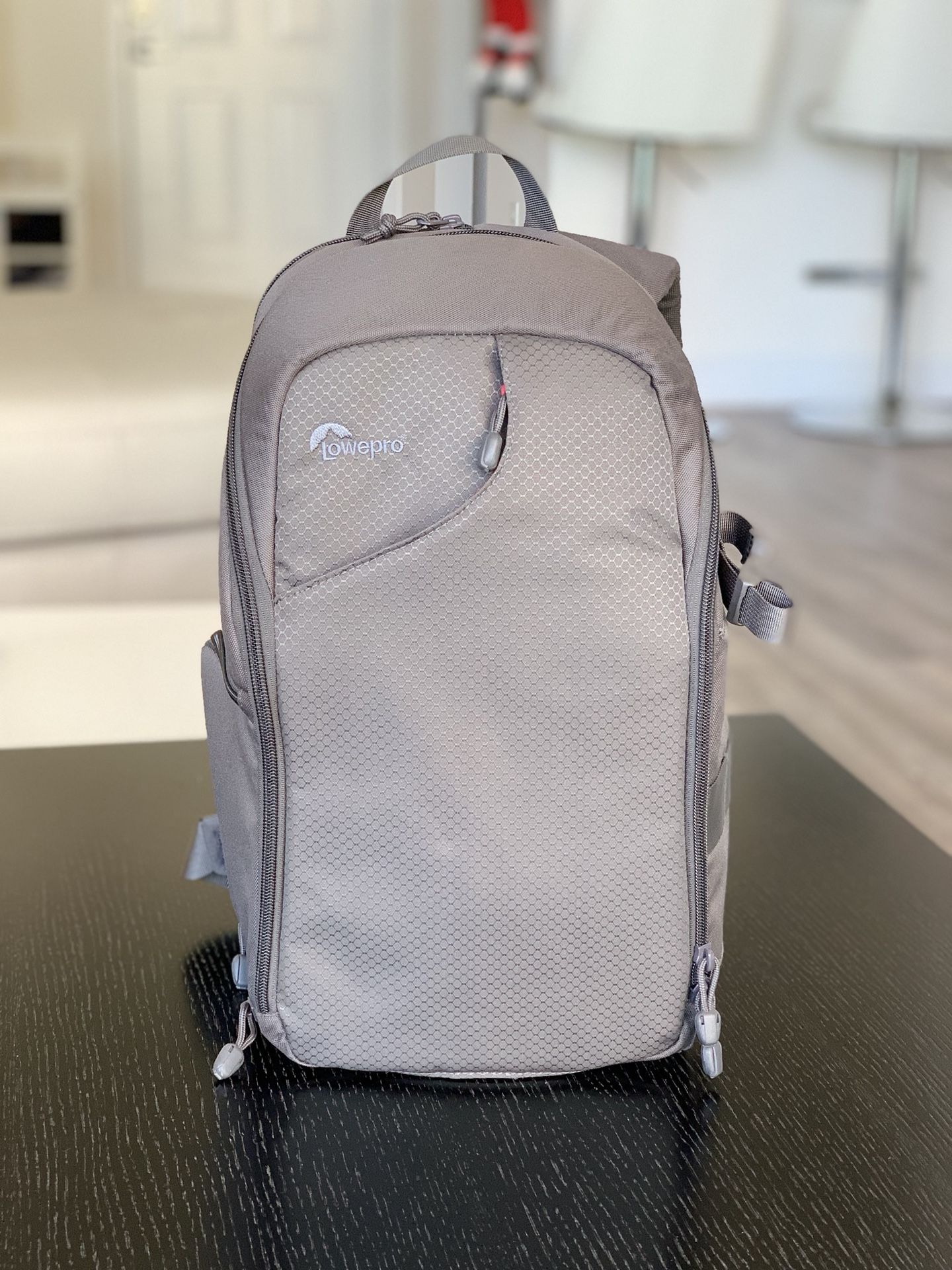 Camera bag Lowepro Transit Sling 250 AW