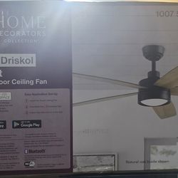 Ceiling fan 60 in