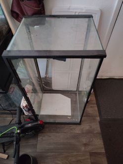 40 gallon tank