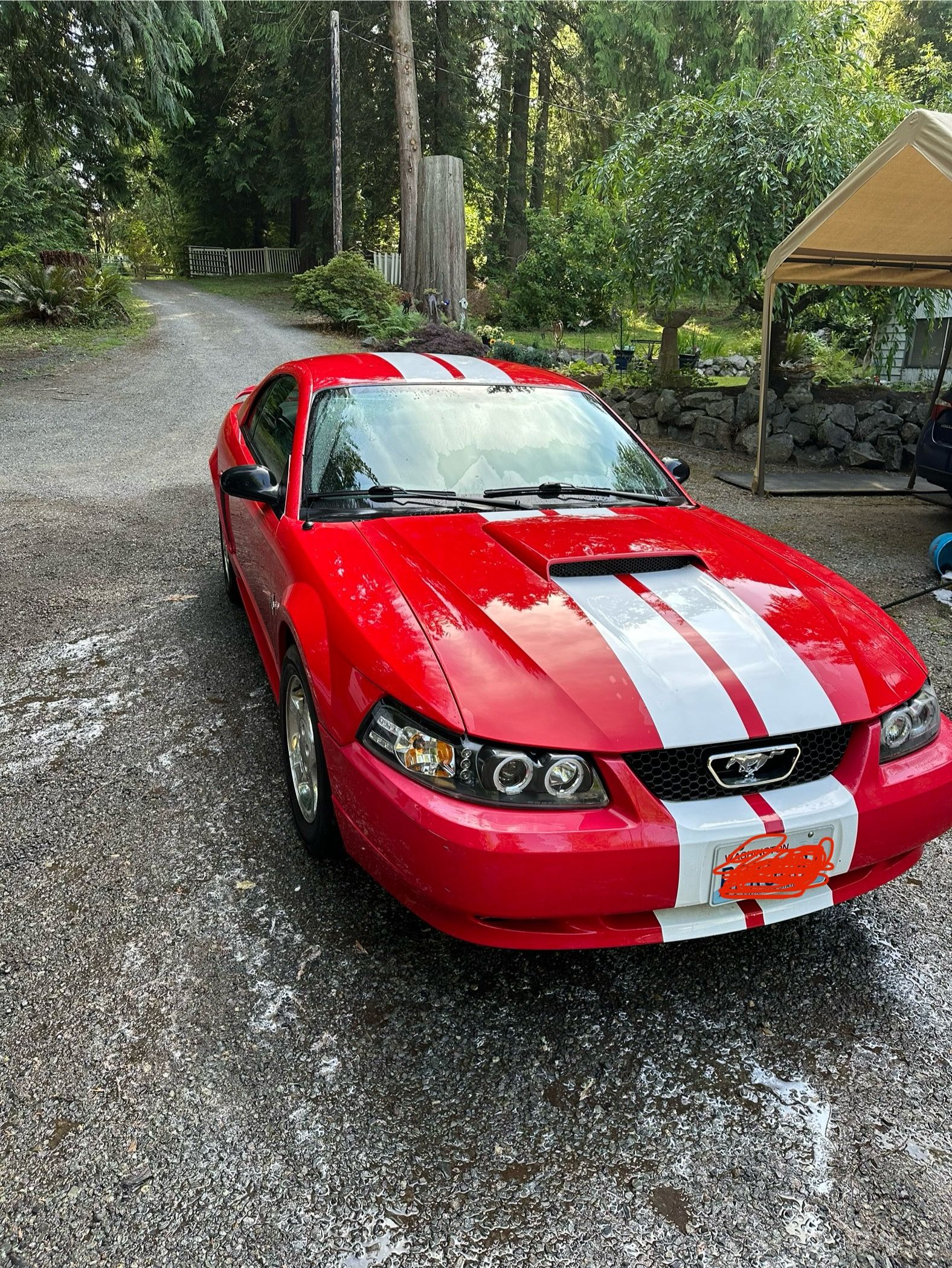 2003 Ford Mustang